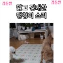 방 안을 울리는 맑고 고운 소리 이미지