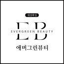 애버그린 이미지