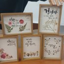 세라캘리