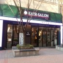 분당-120 이미지