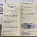 놀로 아쿠아센터 | 강아지수영장 놀로 아쿠아센터 자유수영2시간 후기