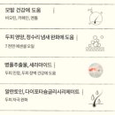 동동이의 일상:) 지루성 두피염 n년차의 지루성두피염 내돈내산 샴푸 사용 후기!!(1)