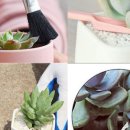 케이제이더블유 이미지