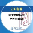목동서울청내과의원 네이버블로그