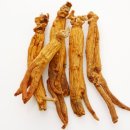 탄현식품 이미지