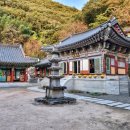 장춘사 5층석탑 | 함안 장춘사 대웅전 · 함안 장춘사 오층석탑