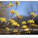 꽃피는부동산중개사무소 이미지