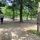 토이랜드 이미지