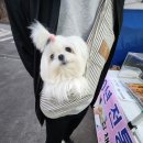 살롱드 멍 이미지