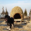 나래하우스 이미지