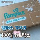 오몰그래픽 - 제주시 고마로1길 26 | [팸퍼스 100일 하트박스] 4단계 체험팩 후기 | 팸퍼스 기저귀 종류 비교