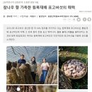 용문산덕동표고버섯 네이버블로그