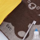 토이아지트 이미지