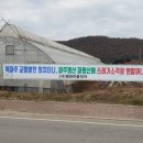 평화마을