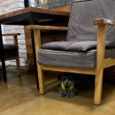 페로하임 이미지