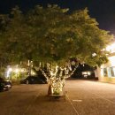 본전게장무한리필 | [공지] 🦀 내돈내산 리얼후기! 무한리필 게장맛집 ‘놀라운 본전게장’ + 양주 잼잼글램핑 사전답사기 🌿