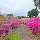 팜파스펜션 이미지