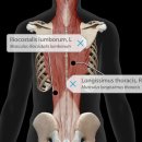 애슬레틱 서래 이미지