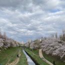 세림리빙텔 이미지