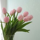 꽃날스튜디오