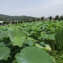 선원사 대웅전 이미지