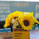 세종법무사 이미지
