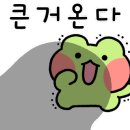 주약초등학교 네이버블로그