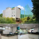 다일락스포렉스 이미지