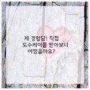 걷자의원 이미지