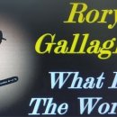Rory Gallagher - What in the world 이미지
