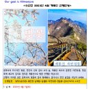 2023년 4월 계룡산 벚꽃산행 참가신청 이미지