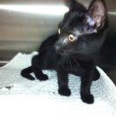 김도균동물병원 이미지