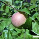 덕고개농장 이미지