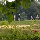 (주)태무 이미지