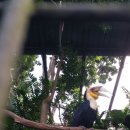 새들의천국 이미지