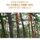 쿠라빌