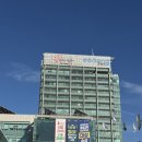 포항시청 | [공지] 📘 신혼여행 예약 전, 여권 재발급 | 포항시청 여권 수령 후기 ✨