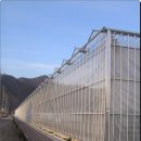 단일농장 이미지