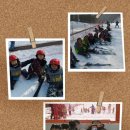 용인대석사체육관 이미지