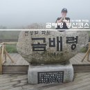 행복을주는꽃 | 인제 곰배령 예약방법 등산코스 숙소 행복을주는사람들 1박2일 여행사