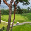 Hole in One(홀인원) 이미지