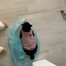 제가 3학년 이라뇨?