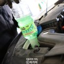 세화카클리닉 이미지