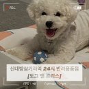 도그앤프릭스 | [신대방삼거리 도그앤프릭스] 신대방삼거리역 반려동물용품샵 / 우리러브씨의 찐 단골집