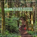 큰노꼬메오름주차장 | 제주 여름 걷기좋은 숲길 노꼬메오름 상잣성길 이게 무슨 짓?