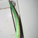 접지농장 이미지