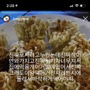 하루와이틀 이미지