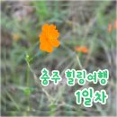 탑골농장 2농장 이미지