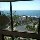 더 썬빌리지 이미지