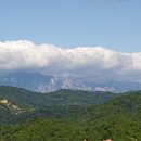 대운행정사 이미지